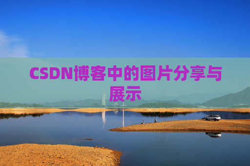 CSDN博客中的图片分享与展示